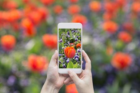 Dies ermöglicht die kostenlose 