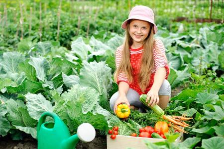 Einen Gartenkalender, Ideen und Tipps rund um den Garten enthält auch die App 