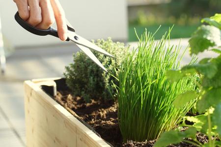 So gibt es Anleitungen für drinnen und draußen - darunter etwa wie ein Hochbeet befüllt werden sollte oder wie man einen Bon...