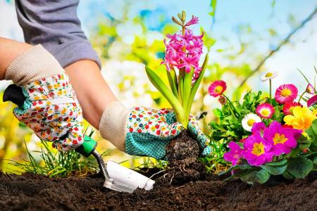 Für die Gesundheit des Angebauten sorgt der 