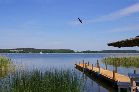 Einmal um den Müritzsee – dafür braucht es zwar starke Waden, ist aber eher eine Strecke für Anfänger. Rund 96 Kilometer und...
