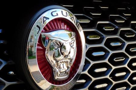 Vergleichsweise kleinere Hersteller haben es mit der Umstellung leichter. Jaguar beispielsweise kündigte an, schon ab 2025 n...