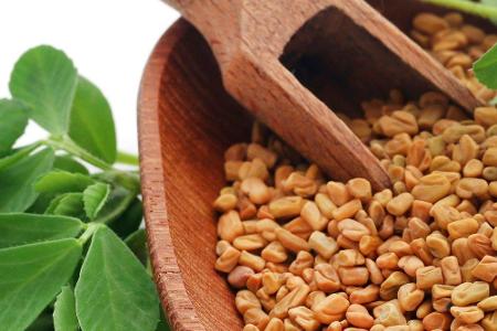 Bockshornklee kommt vor allem schweißnassen Händen und Füßen zugute. Seine Samen sind in der Apotheke erhältlich. Davon zwöl...