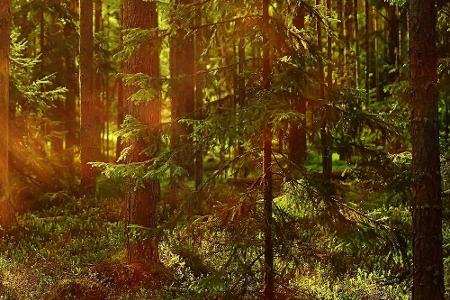 Die Szenarios lassen sich individualisieren, indem bei einem 