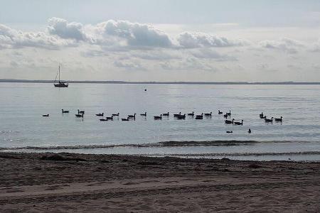 Etrusco T 6900 DB im Dauertest