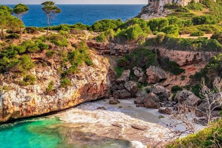 Kleine Küstenorte, einsame Strände und eine leckere Küche: Mallorca ist ein absolutes Traumziel. Doch viele verbinden die Ba...