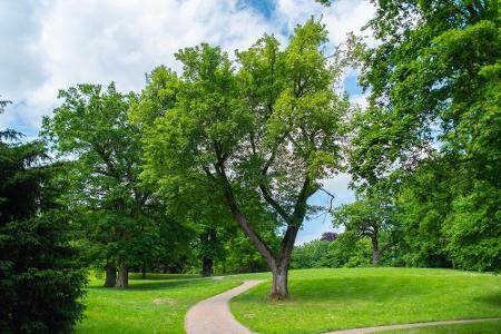 Bremen kommt auf stolze 21,32 Quadratmeter und sichert sich damit die Bronzemedaille. Zu den schönsten Anlagen zählt der Kno...