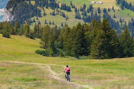 Wer im Sommer zu Fuß oder mit dem Rad unterwegs ist, kann sich auf einige Apps verlassen, die das Outdoor-Leben leichter mac...