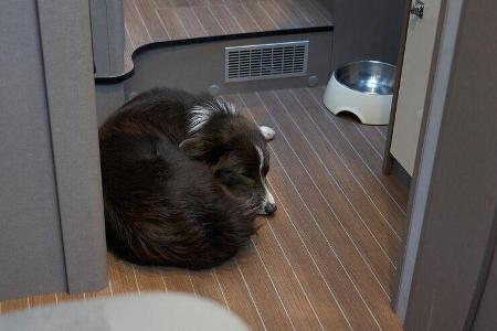 Etrusco T 6900 (2021)