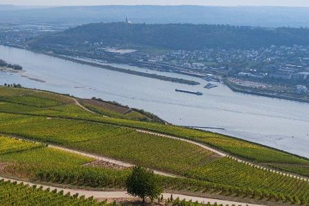 Wer weniger mit Wassersport anfangen kann: Eine Wanderung auf dem über 320 Kilometer langen Rheinsteig Wanderweg ist für Akt...