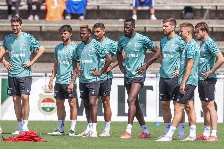 Bislang 15 externe Transfers verzeichnete der FC Schalke 04 für die Mission Wiederaufstieg in der 2. Bundesliga, darunter Ro...