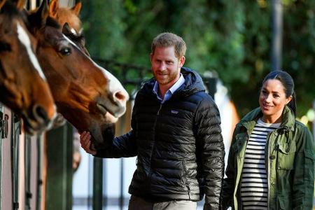 Nicht mal beim Pferdchen-Streicheln in Rabat, Marokko, ließ Prinz Harry seine schwangere Frau los.