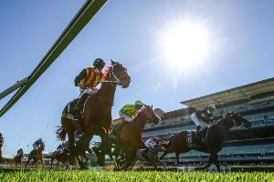 Galopp: Lizaid gewinnt Preis der Winterkönigin