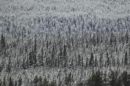 Erneuter Schneefall in Lake Louise: Auch Super-G abgesagt