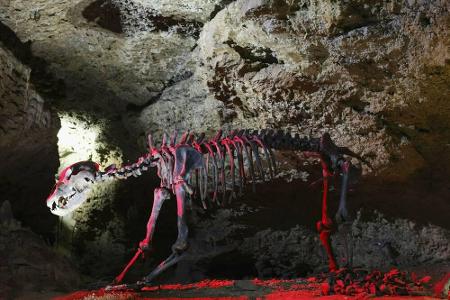 In Bayern, in der Nähe von Bayreuth, gibt es ebenfalls eine Tropfsteinhöhle zu bewundern. Eine der verschieden Hallen beherb...