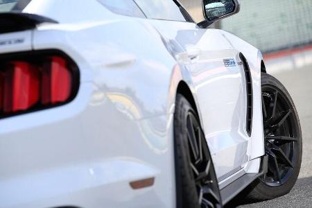 Shelby GT350 Mustang, Seitenführung