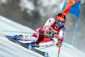 Ski: Österreicher Leitinger verpasst erneut Olympia-Saison