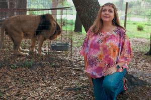 Carole Baskin hat keine Lust, in "Tiger King 2" stattzufinden