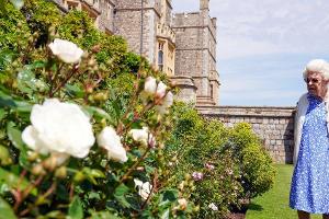 Die Queen in den Gärten von Schloss Windsor.