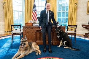 Links der verstorbene Champ, rechts der verhaltensauffällige Major, in der Mitte: Präsident Joe Biden.