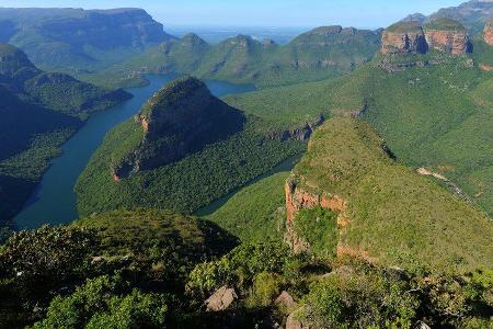 Die Dschungelcamp erwartet ein Abenteuer in grüner Wildnis.