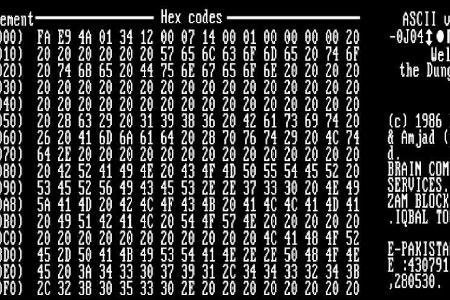 Hier sehen Sie den Hexdump eines Bootsektors, der mit dem PC-Virus Brain infiziert ist. Brain gilt als erster PC-Virus, der ...