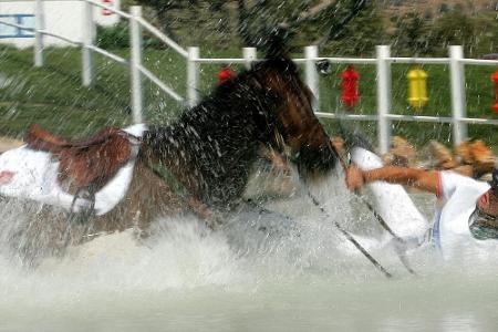 Das SID-Kalenderblatt am 25. Dezember: Die Stimme des Reitsports verstummt