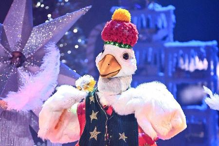 An der Weihnachtsgans war auch bei 