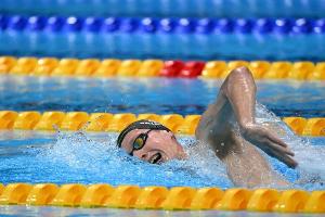Kurzbahn-WM: Wellbrock schwimmt in Weltrekordzeit zu Gold
