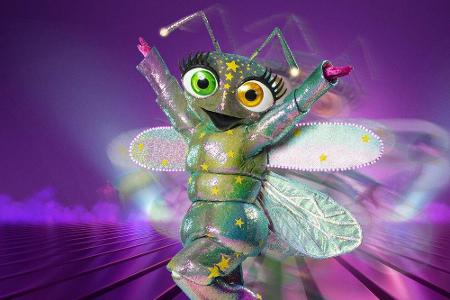 Für das Glühwürmchen ist das Abenteuer jedoch bereits zu Ende. Es musste sich schon in der Auftaktfolge zu erkennen geben. U...