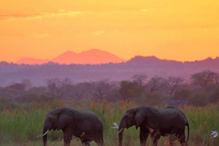 Vor Ägypten schiebt sich Malawi. Der Binnenstaat in Südostafrika hat viel Potential: Der Lake Malawi National Park, Wanderun...