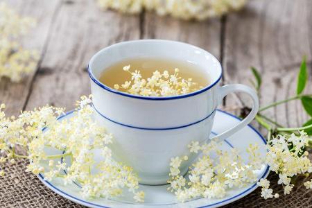 Aus der Holunderpflanze lässt sich nicht nur Früchtetee herstellen. Die Blüten eignen sich auch für einen intensiv schmecken...