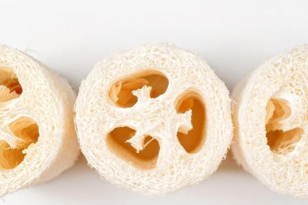 Schwämme aus Kunststoff haben ausgedient. Eine natürliche Alternative ist der Luffa-Schwamm. Er wird aus dem reifen Fruchtkö...