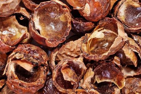 Wäschewaschen geht auch ohne chemische Keule. Die Nüsse des indischen Waschnussbaums enthalten Saponine, Stoffe mit natürlic...