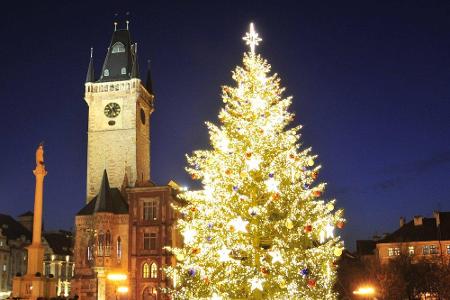 Der Weihnachtsbaum auf dem Altstädter Ring in Prag bringt jede Menge festliche Stimmung. Doch auch in anderen Städten kann s...