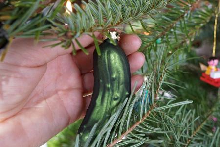 An US-amerikanischen Weihnachtsbäumen hängt traditionell eine Gurke, die zwischen den Zweigen gut versteckt wird. Wer den me...