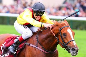 Nach Sturz: Reiterin Müller mit Hubschrauber abtransportiert