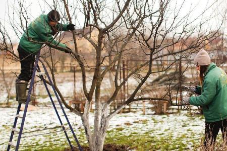 Im Garten gibt es auch während der Winterruhe genug zu tun.