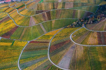 Perspektivwechsel Drohnenaufnahmen Weinberg Luftaufnahme Drohne
