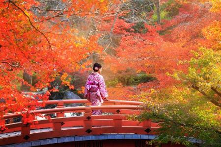 Liechtenstein und Japan teilen sich den achten Platz und kommen auf einen Score von 145. Wer verreisen möchte, hat die Qual ...