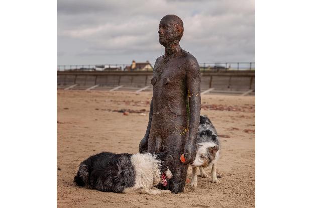 Christine Johnson/ Animal Friends Comedy Pet Photo Awards