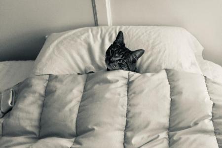 Lucy Slater/ Animal Friends Comedy Pet Photo Awards