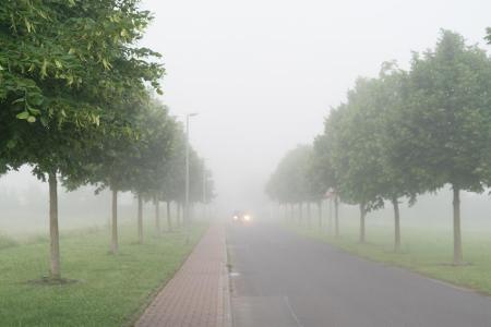 Ähnliches gilt bei Nebel. Da die Sicht eingeschränkt ist, müssen Autofahrer mehr Abstand lassen und auch deutlich langsamer ...