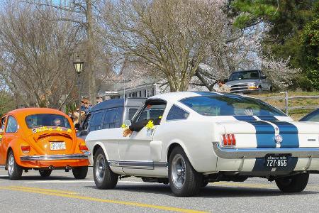 Zwei Auto-Ikonen, dessen Form von ihren Herstellern wiederaufgegriffen wurde: der VW Käfer (l.) und der Ford Mustang. Weiter...