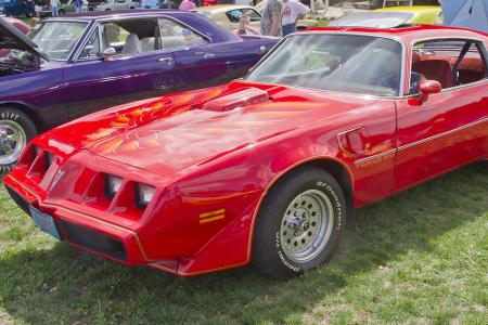 In den USA zählen Muscle Cars zu den am meisten gesuchten Modellen, so auch der Pontiac Firebird. Die Fahrzeuge standen für ...