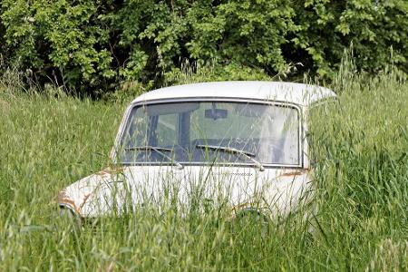 Wie abgestellt und zufällig vergessen wirkt dieser Wagen in einer Natur-Wiese.