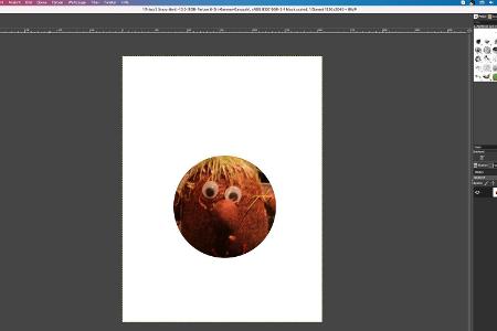 Hier haben wir mit dem Ellipsen-Werkzeug mit den Einstellungen „Fixiert“ und „Seitenverhältnis“ einen Kreis um unseren Graskopf gezogen. Danach haben wir „Auswahl, Fixiert“ in der Menüleiste ausgewählt und schließlich auf unserem Mac mit der Tastenkombination Backspace+fn alles rund um den Kopf entfernt.