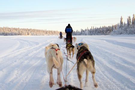 Diese Abenteuer können Urlauber in Skandinavien erleben