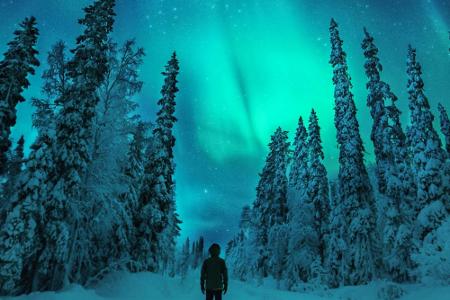 Diese Abenteuer können Urlauber in Skandinavien erleben