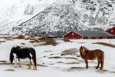Diese Abenteuer können Urlauber in Skandinavien erleben